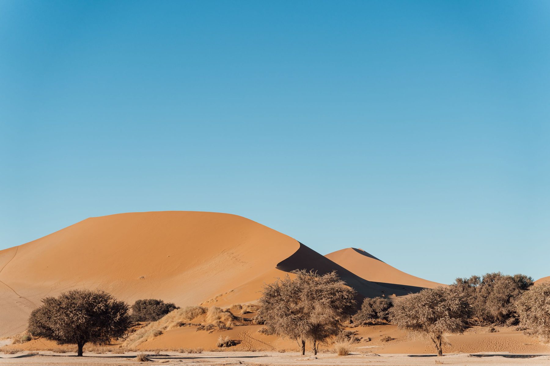 Dunas del Namib, Namibia